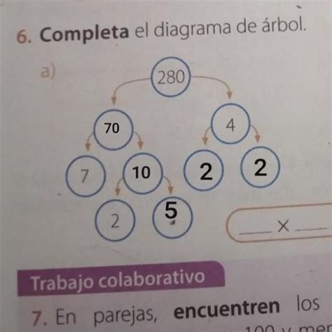 X X X Completa El Diagrama De Rbol A B O O Xx