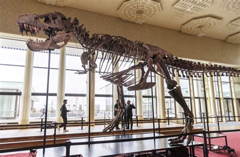 T Rex Skeleton Sells For More Than 6 Million At Swiss Auction The