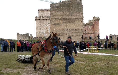 Fotos Feria de San Andrés en Turégano El Norte de Castilla