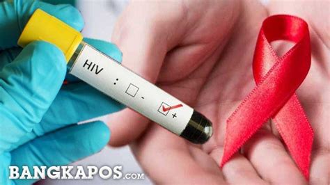 Penyakit Hiv Aids Newstempo