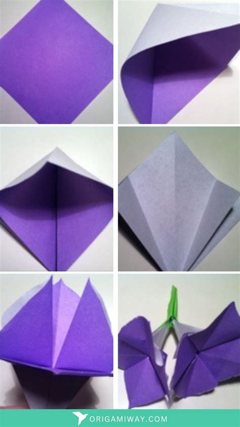 Origami Flower Instructions and Diagram