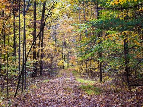 CamperEdge | Hoosier National Forest