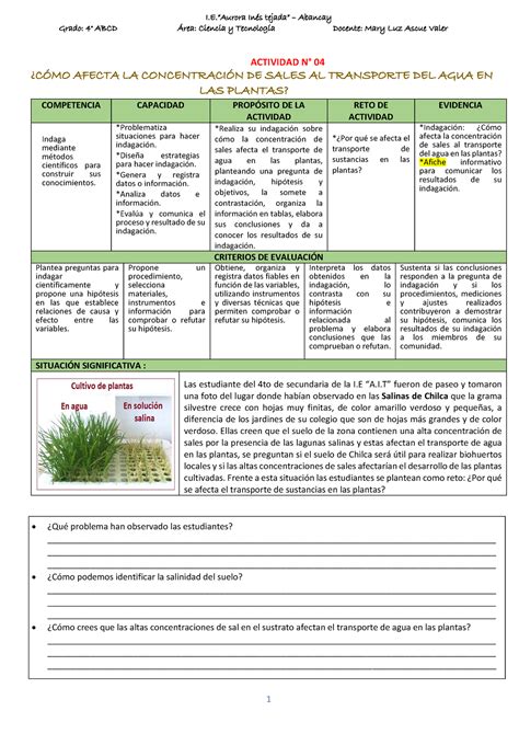 Actividad Eda Semana Cyt Indaga C Mo Afecta La Concentraci N