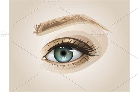 Realistic Eye - Vector Illustration | Custom-Designed Illustrations ~ Creative Market