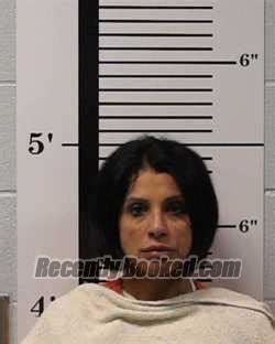 Recent Booking Mugshot For Amy Nicole Badillo In Rockwall County Texas