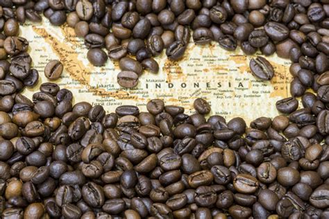 Where Do Coffee Bean Come From Part Coffee Finders