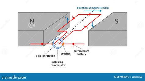 Torque On A Current Loop In A Magnetic Field. Rectangular Coil Placed ...