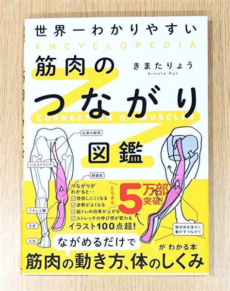 上手くなりたいなら筋膜を意識せよ！＆【大阪 社交ダンス団体レッスン】『a級ダンサーが伝授するレベルアップスタンダード』初回の振付タンゴ♪