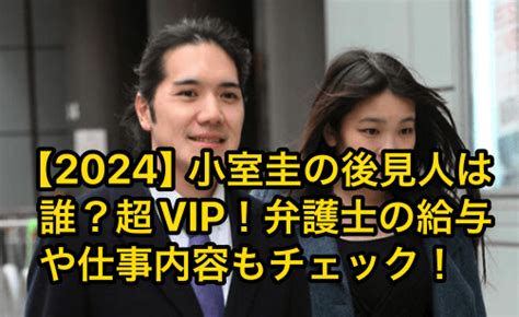 【2024】小室圭の後見人は誰？超vip！弁護士の給与や仕事内容もチェック！