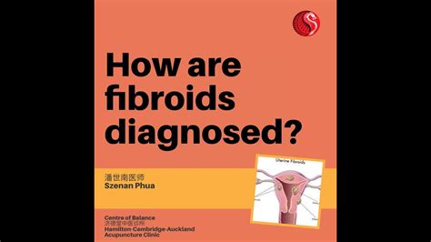 How Are Fibroids Diagnosed Acupuncture Clinic Hamilton Cambridge