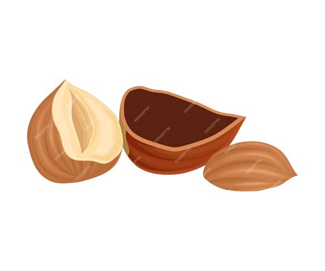 Premium Vector Cracked Hazelnut Isolated On White Background Vector