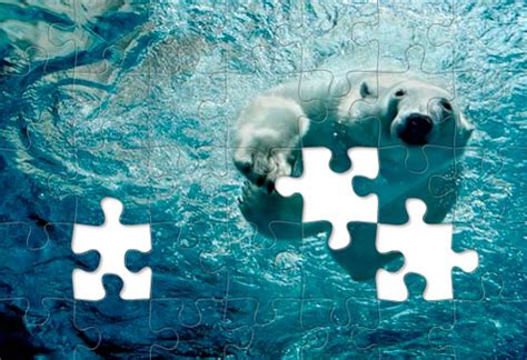 Jigsaw Puzzle National Geographic Magazine Clip Art Library