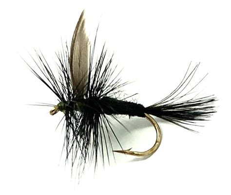 Fly Fishing Flies Black Gnat Dry Fly Pattern Feeder Creek Fish