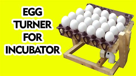 Diy Egg Turner Incubator Egg Turner Egg Turner For Incubator Automatic Egg Turner Youtube