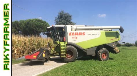 TREBBIATURA MAIS 2018 Class Lexion 570 C YouTube