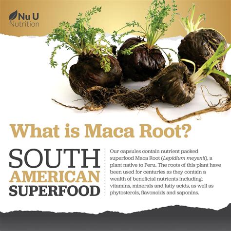 Maca Root 6000mg High Strength Complex With Black Peruvian Maca