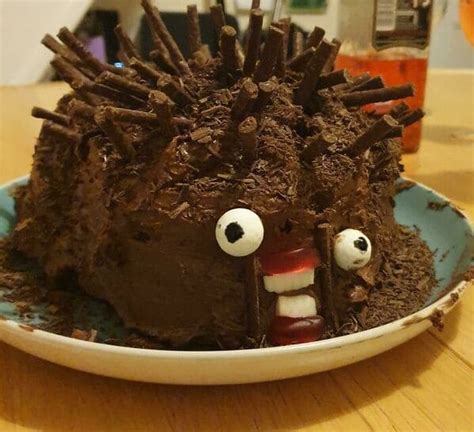 Can Anyone Actually Make A Hedgehog Cake Correctly? It Appears Not (25 ...