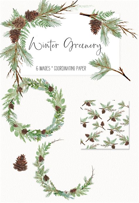 Winter Greenery Watercolor clip art - PNG format