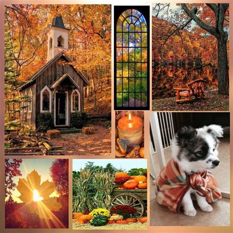 Autumn collage by me | Autumn scenery, Autumn inspiration, Fall pictures