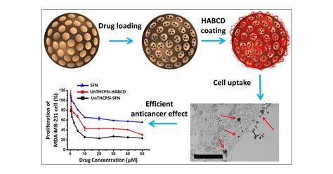 Cyclodextrin Modified Porous Silicon Nanoparticles For Efficient