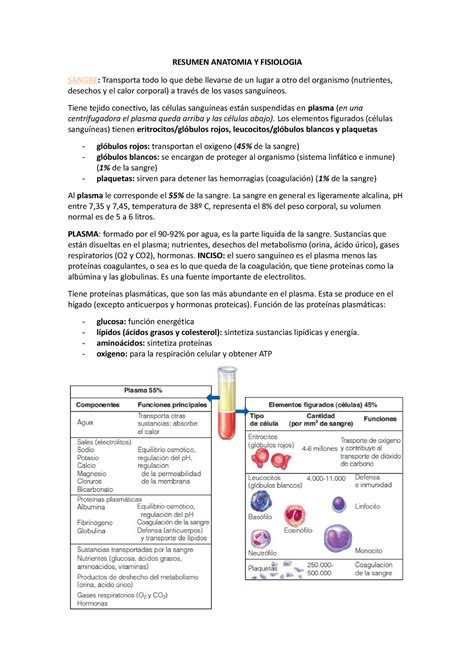 Resumen Anatomia Y Fisiologia Parcial Resumen Anatomia Y Fisiologia