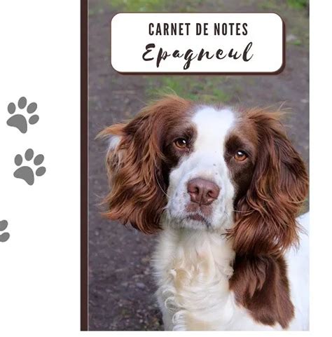 Carnet De Notes Motif Chien Format X Cm Pages Lign Es