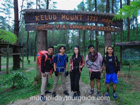 Hutan Pinus Loji Lereng Kelud Wisata Sejuk IndoHoliday