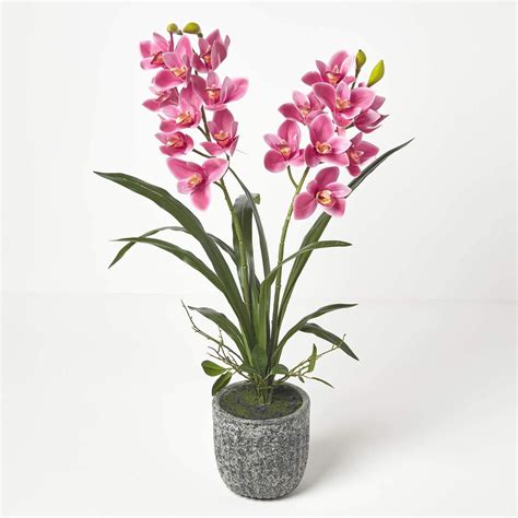 Amazon de Homescapes extra große künstliche Orchidee Phalaenopsis