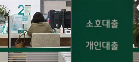 “가계대출자 157만명 연소득 100 빚 갚는데 쓴다” 파이낸셜뉴스