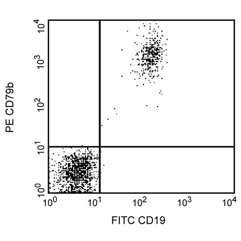 Pe Mouse Anti Human Cd79b