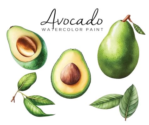 Premium Vector Avocado Watercolor Paint Collection