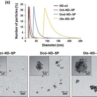 A Dls Hydrodynamic Size Distribution Of The Nd Sps B Tem Images Of