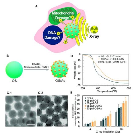 Cell Counts And Cell Viability Of T Cells Treated With G Ml