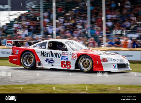 1995 Ford Mustang Gts 1 Scca Trans Am Racer With Driver Oliver Bryant