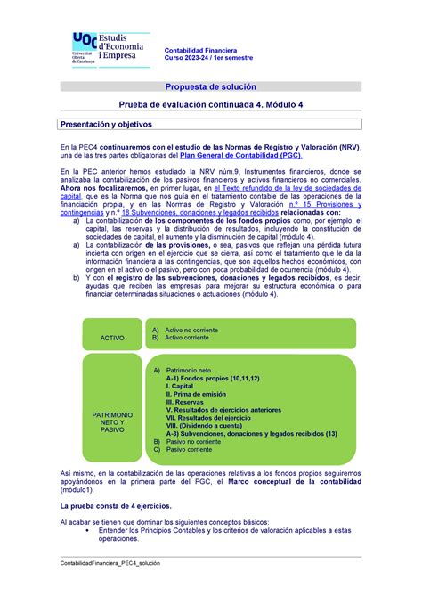 Pec Soluciones Pec Solucion Contabilidad Financiera Curso