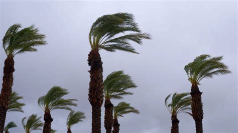 Alerte météo pluies chutes de neige et fortes rafales de vent