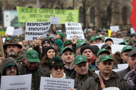 Silvicultorii Protesteaz Mar I N Fa A Senatului Nemul Umi I De Un