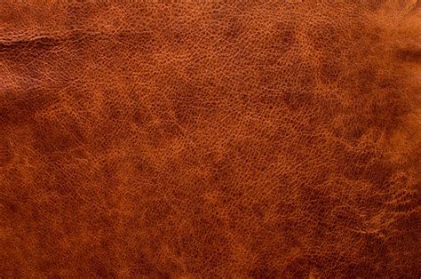 What is aniline leather and how to care for it? - Chambers Natural Products