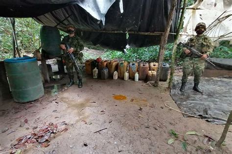 Ejército Desmanteló Laboratorio De Coca En Fuente De Oro