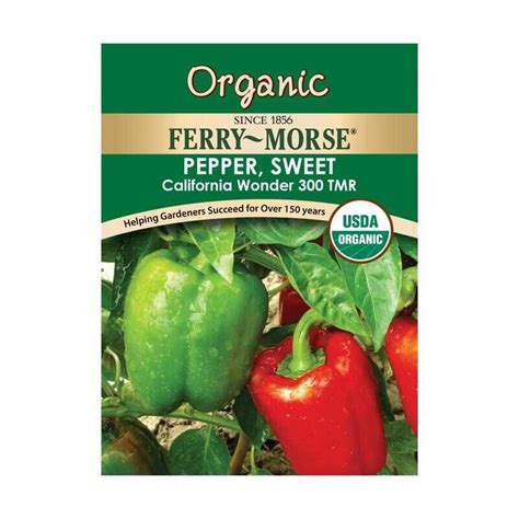 Organic California Wonder Bell Pepper Seeds | Stuffed peppers, Pepper seeds, Stuffed sweet peppers