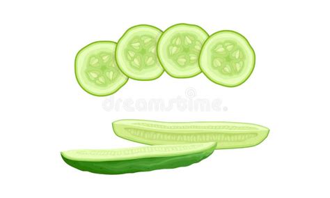 Cucumber Nutrition Facts Stock Vector Illustration Of Slice 54331712