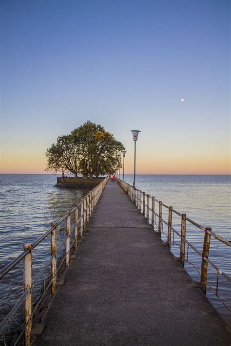 Images Gratuites Plage Paysage Mer C Te Arbre Eau La Nature