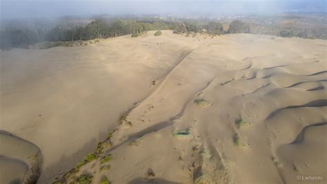 Santuario De La Naturaleza Humedal Salinas De Pullally Dunas De