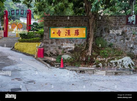 Explore the serene beauty of Ngong Ping and Lantau Island, where hiking ...