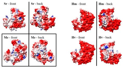 Catalysts Free Full Text From Enzyme Stability To Enzymatic