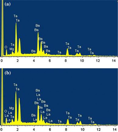 The Energy Dispersive X Ray Spectrometer EDS Spectra Of Surface For