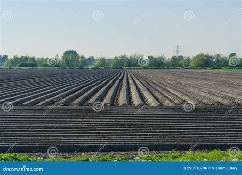 Fields Ready For Another Good Harvest Season Polderbaan Netherlands