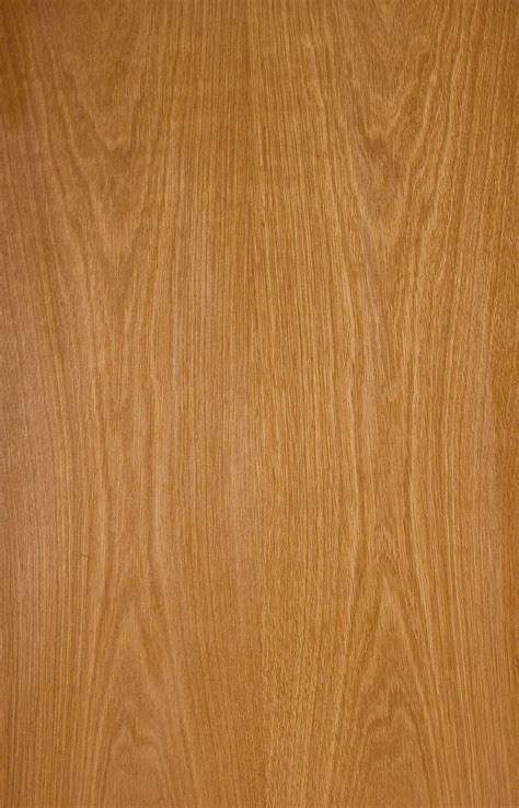 Indian Cherry Flowery Oak Wood Texture Veneer Texture Wood Floor