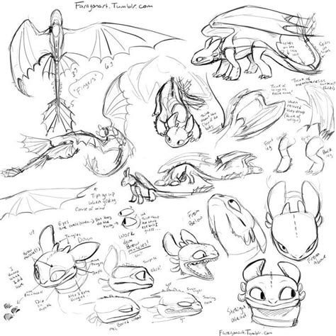 Cute Dragon Drawing Dragon Sketch Dragon Drawings Httyd Dragons