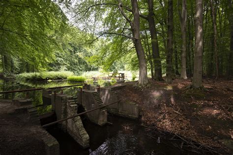 Waterloopbos DSC8145 The Waterloopbos Is A Former Field La Flickr